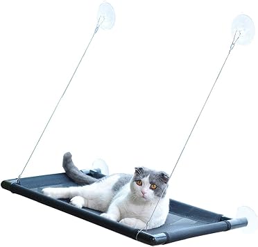 amazon cat window bed