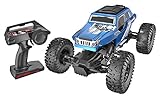 Danchee Trail Hunter 1/12 Scale Remote Control Rock Crawler Off Road Truck, Blue (Toy)