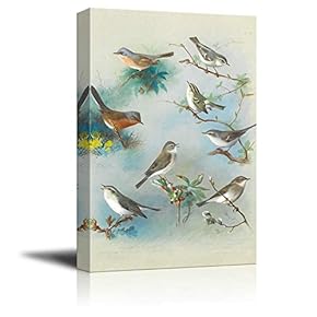 Beautiful Drawing of Various Birds Perched on Branches