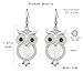 Owl Dangle Earring for Women,Charm Drop Earring Silver Earring for Girls Hypoallergenic Earring with Crystal Rhinestone (Silver Plated)