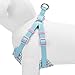 Blueberry Pet Soft & Comfy Made Well Cute Floral No Pull Mesh Dog Harness Vest in Light Blue, Chest Girth 17.5