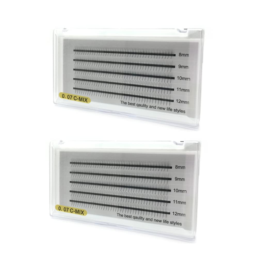 3D 2 pcs Volume Lash Extensions 2 Trays 0.07mm C Curl 8 10 11 12mm mixed set 3D Premade Fans Volume Eyelash Extensions Russian Cluster Eye Lashes Professional Volume Lashes for makeup by EMEDA (3D)