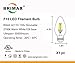 BRIMAX F15 8W Led Porch Light Bulb Outdoor, LED Post Bulb for 75W - 80W Incandescent Equivalent