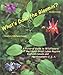 What's Doin' the Bloomin'? Revised Edition:A Pictorial Guide to Wildflowers of the Upper Great Lakes Regions, Eastern Canada and Northeastern U. S. A. by Clayton Oslund, Michele Oslund