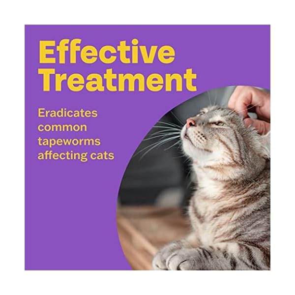 Bob Martin Clear | Spot On Wormer for Cats & Kittens | 100% Effective Tapeworm Treatment (2 Pipettes)