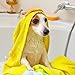 Vet's Best Hot Spot Itch Relief Shampoo for Dogs - Relieves Dog Dry Skin, Rash, Scratching, Licking, Itchy Skin, and Hot Spots - 16 Ounces