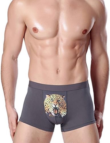 JUMUU Men's Cat Animal Print Stretch Underwear Bulge Pouch Boxers Briefs Underpants (Medium/29-31Waist, Tiger Gray)