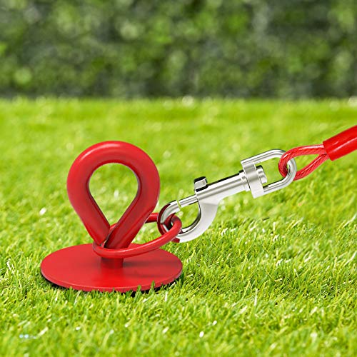 30 Ft Dog Tie Out Cable and Stake Heavy Dog Yard Leash and Stake for