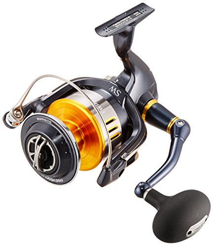 TWIN POWER SW10000PG ツインパワーsw10000pg シマノ (送料無料)シマノ/SHIMANO 21ツインパワー SW10000PG