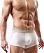 Astarin Mens Modal Colored Trunks Underwear Comfortable Boxer Briefs (Medium, 5 Pack)