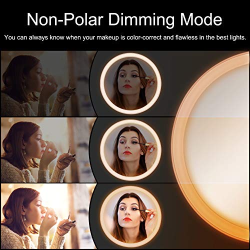 LED Makeup Mirror, Sailstar 4000K Makeup Mirror with Lights, Touch Screen Dimming, 1X/10X Magnification, 180 Degree Rotation, Support USB Charging, Detachable Portable Mirror