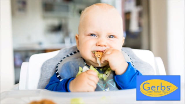 GERBS Original Seed n' Honey Granola, 14 ounce Bag, Top 14 Food Allergy Free, NON GMO - Image 8