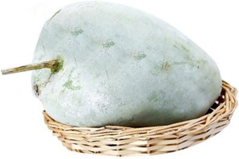 Vastravel Winter Melon Wax Gourd Big Variety Dong Gua NON-GMO Vegetable 20 Seeds