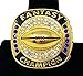 Decade Awards 2018 Gold Plated Fantasy Football Champion Ring | Style B | Heavy FFL League Champ Ring with Stand