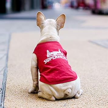 Amazon 19新しい犬の服夏のペット法の戦いパゴダ英国の戦いコーギーtシャツ韓国の春と夏の服 スーパーマンレッド Xs 胸囲38cm 26g Noen シャツ パーカー 通販