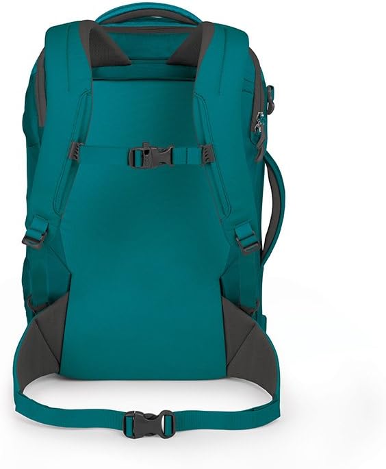 Osprey Porter 30 Travel Backpack: Sports & Outdoors