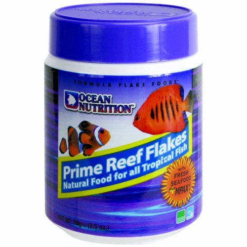 Best Fish Foods A Detailed Review Fishxperts