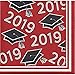 Red Class of 2019 Beverage Napkins, 108 ct