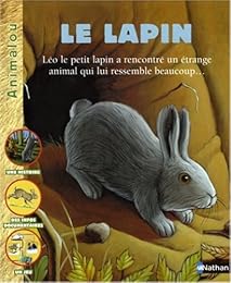 Le  lapin