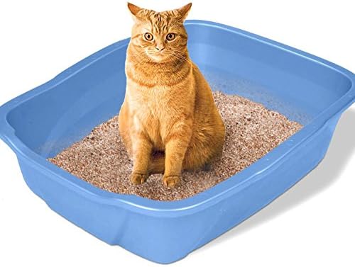 NEW Large Cat Litter Box Big Kitty Pan Huge Pet Toilet Clean Mat House Furniture