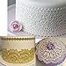 Anyana Paisley Lace Silicone impression Mat fondant imprint lace mat Cake candy Decorating Supplies Pastry gumpaste Sugar Paste Baking Mould edible floral lace wedding Craft Diy Clay Epoxy Resin Mold