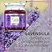 Aroma From Nature Lavendula 13 oz Home Collection Scented Candle – 1 Pack – Aromatherapy Candles – Home Fragrance – Apothecary Glass With Triple Wickthumb 1