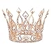 Stuffwholesale 4inch Height Floral Full Crown Rhinestone Crystal Tiara Bridal Wedding Hair Accessory (Rose Gold)