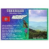 TENNESSEE STATE FACTS postcard set of 20 identical postcards. Post cards with TN facts and state symbols. Made in USA.