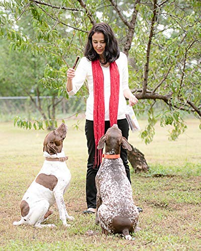 Sancho & Lola's 6 Inch Bully Sticks for Dogs - 24oz Value Pack Grass-Fed Free-Range Grain-Free Beef Pizzles