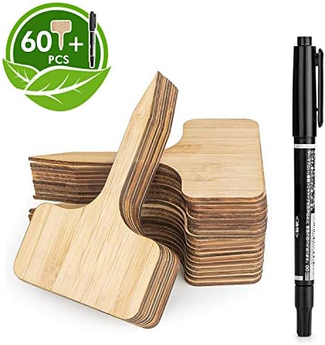 HOMENOTE 60pcs Bamboo Plant Labels (6 x 10 cm) with Bonus a Pen Vegetable Garden Markers T-Type Plant Tags for Plants