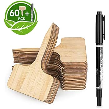 HOMENOTE 60pcs Bamboo Plant Labels (6 x 10 cm) with Bonus a Pen Vegetable Garden Markers T-Type Plant Tags for Plants