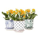 Chive - Liberte, Succulent and Cactus Planter Pot with Drainage Hole and Saucer, Small Porcelain Pot - Bulk 3 Pack Tray and Dish
