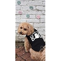 I'm Here For The Boos Dog Shirt