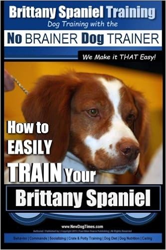 brittany spaniel training