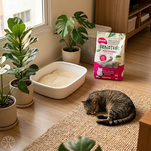 Areia de Mandioca para Gatos Torrão Firme Zero Odor Kit 2x4kg | Biodegradavel, granulos mistos de alta absorcao, descartavel no vaso sanitario, sem poeira, sem perfume artificial