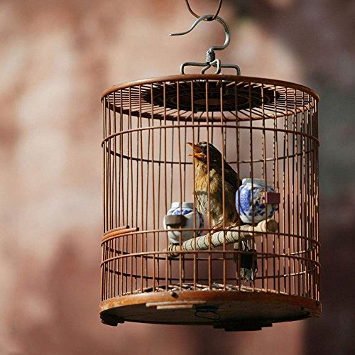 image for Grosun 8pcs 19.7 inch/ 50cm Black Hanging Chains Flower Pot Basket Rep