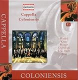 CAPPELLA COLONIENSIS                               image