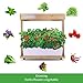 Hydroponics Growing System Kit LED Plant Grow Light, Hydroponics Indoor Gardening Kit Herb Seed Pod Kit, Nutrients, Seeds Not Included (8pot)thumb 3