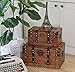 SLPR Alexander Wooden Treasure Chests - Set of 2, Antique Storage Trunks, Decorative Wood Storage Boxes with Hinged Lids for Keepsakes and Home Décor
