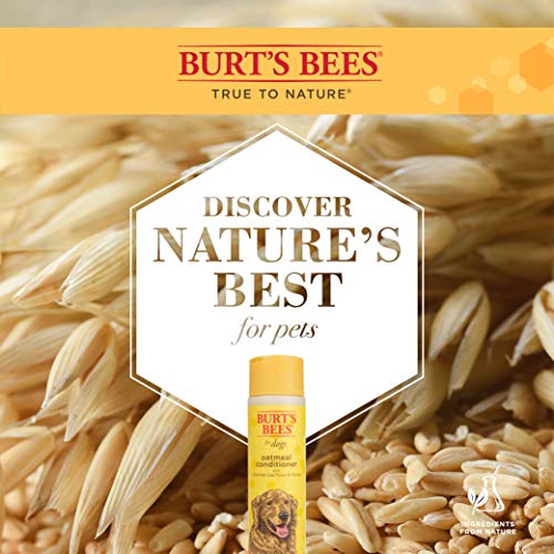 BURT’S BEES FOR PETS OATMEAL DOG CONDITIONER WITH HONEY, MOISTURIZING DOG COAT CONDITIONER FOR DRY AND SENSITIVE SKIN TO HELP SOFTEN AND NOURISH COATS DURING GROOMING, 10 FL OZ