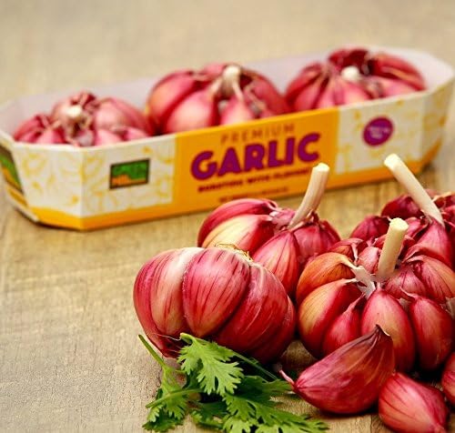 PREMIUM GARLIC | GOURMET GARLIC | 3 BULBS