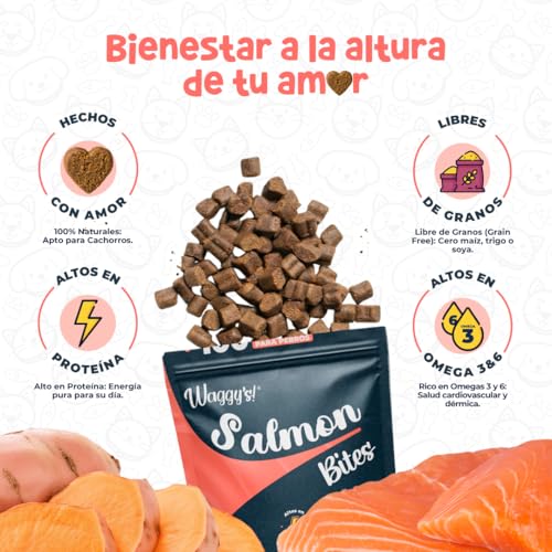 Waggys Bites | Premios para Perro Naturales | Suaves, Sin Granos, Altos en Proteína | Camote y Salmón | Ricos y Deliciosos | Snack Saludable para Mascotas | Ideal para Entrenamiento | 100 Soft Chews