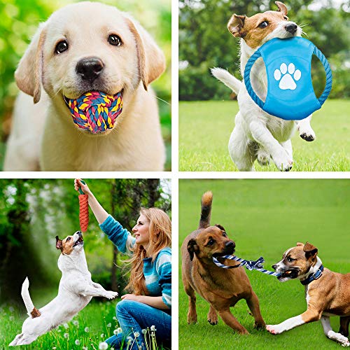 DELOMO Dog Rope Toys, 12 Pack Dog Rope Toys,Dog Chew Toys, Dog Playing Toys, Washable, Nearly Indestructible, 100% Natural Cotton Dog Rope Toy Set, Teething Toy for Small Dogs & Puppy