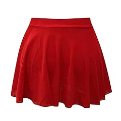 Women's Sexy Sheer Micro Mini Skirt - High Waist