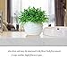 E-Hand Artificial Plant Outdoor UV Resistant Eucalyptus Leave Shrubs Plastic Fake Bushes Window Box Greenery for Home Indoor Garden Light Green Verandah Office Wedding Decor Wholesale - 4 PCS