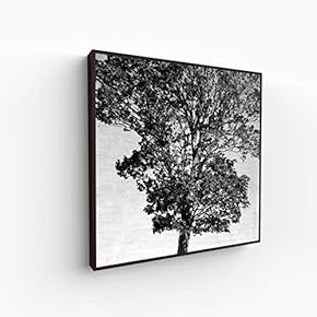 Canvas Wall Art for Living Room, Bedroom Monochrome Image Framed Canvas Prints for Home Decoration Ready to Hang - 16x16 inches