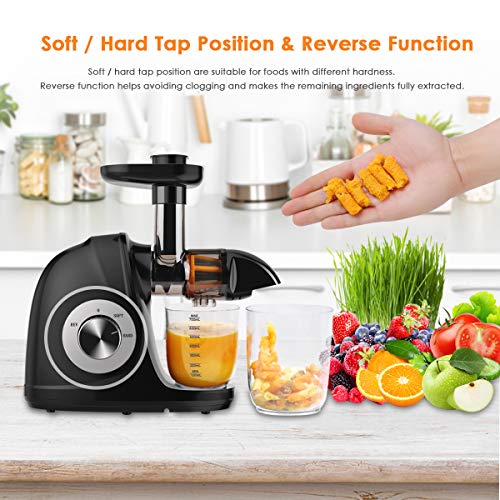 Juicer Machines, Picberm Slow Masticating Juicer Extractor with Quiet Motor Easy to Clean, BPA-Free Cold Press Anti-Blocking Juicer with Peeler, Brush & Recipes for Fruits and Vegetables, Black