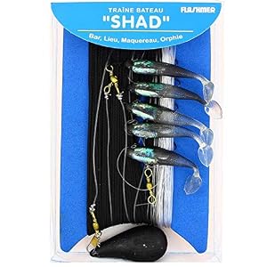 Flashmer Ecoline – Offre SpÉciale Ligne De Traine A Main