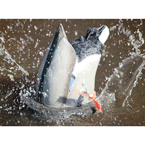 Cyclone Duck Butt Drake