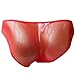 FEESHOW Men's Mesh Sheer Briefs See Through Underwear Red One Size
